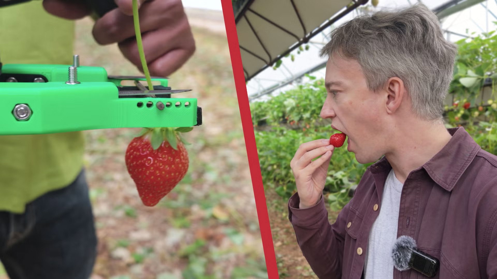 S1E29 · Why Robots Can’t Pick Strawberries Yet
