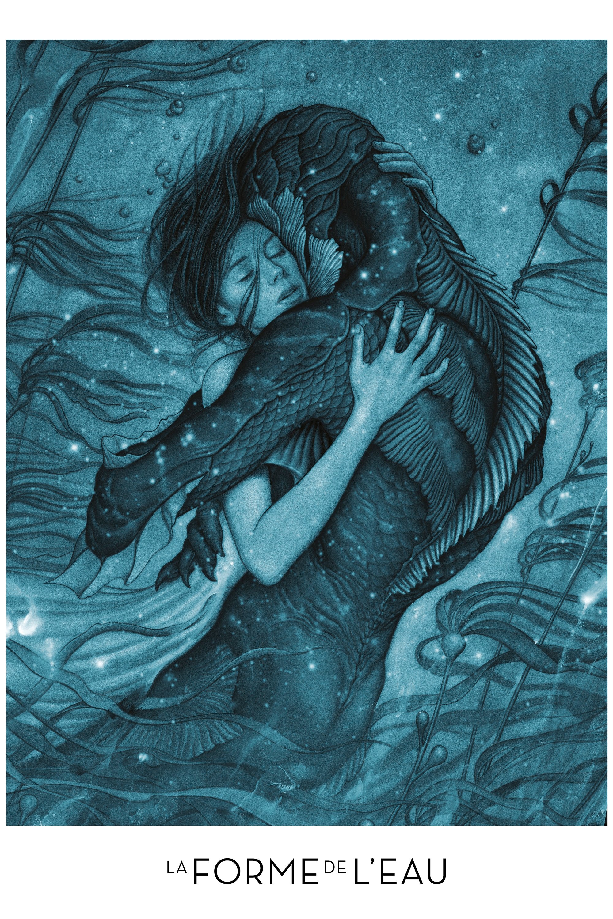 The Shape of Water