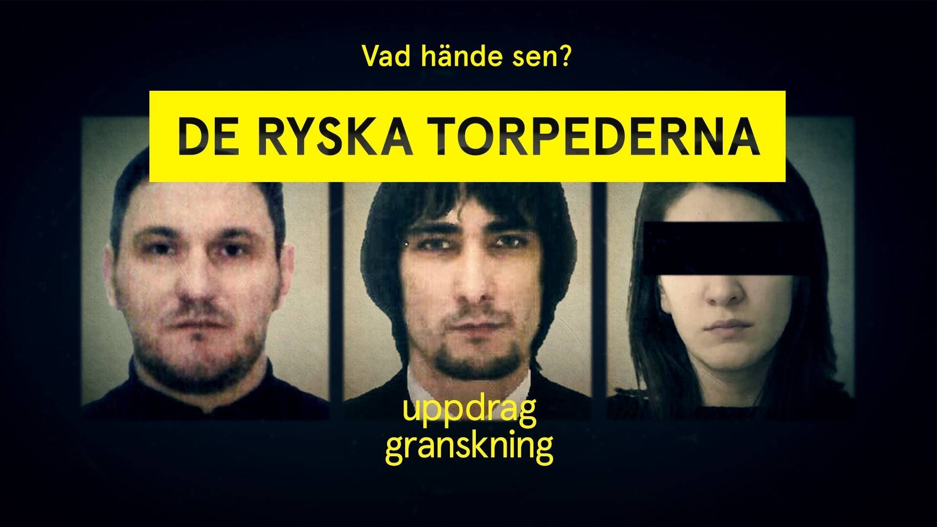 Uppdrag granskning
