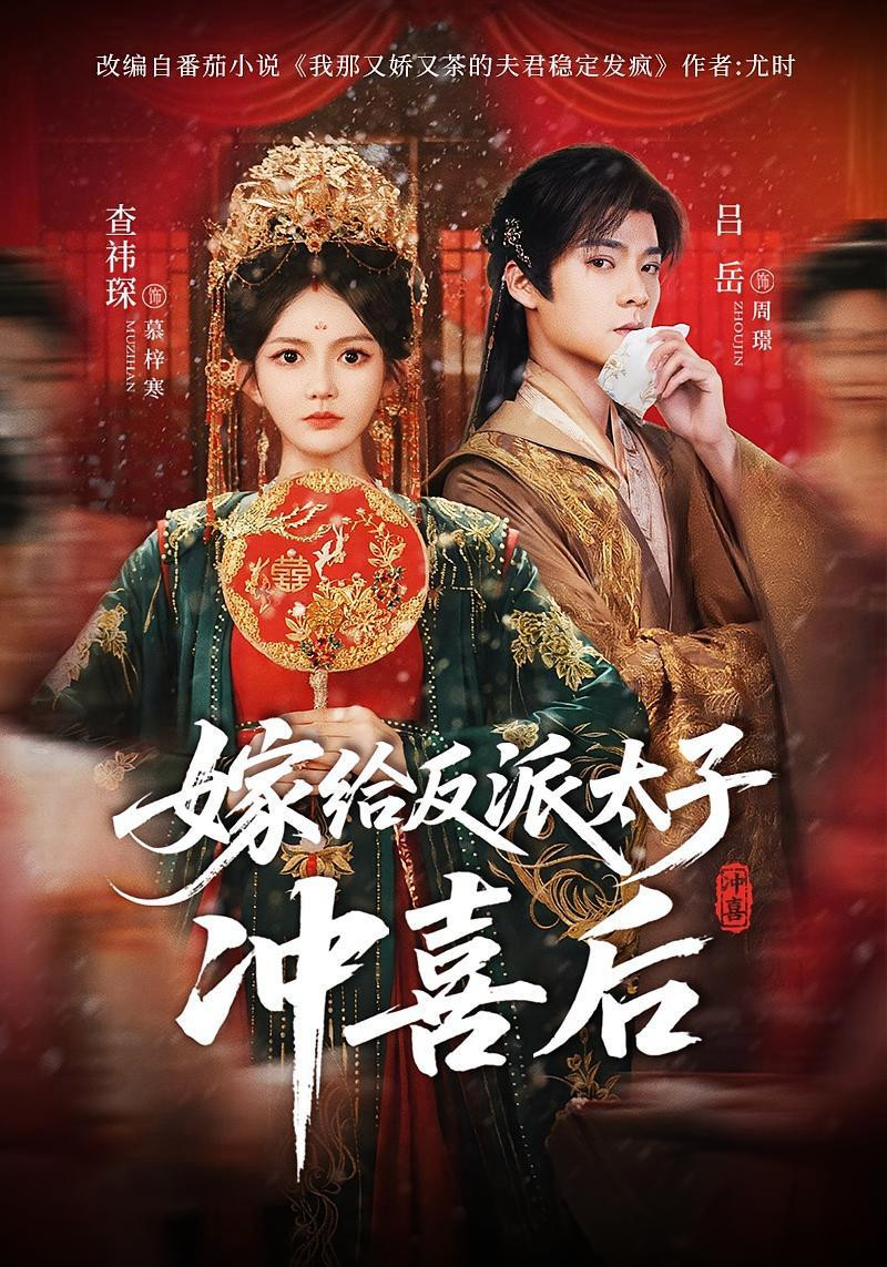 嫁给反派太子冲喜后 Poster