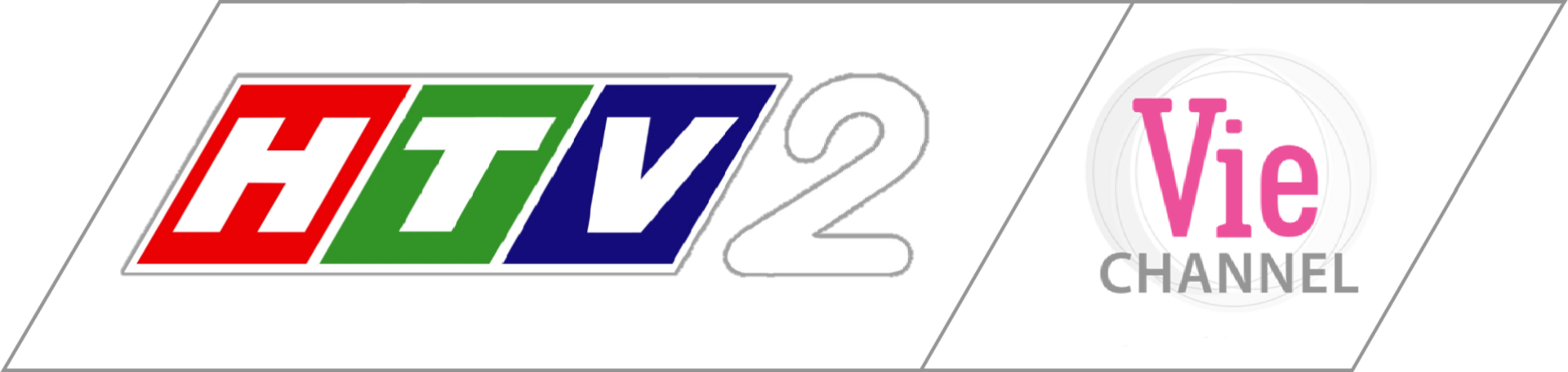 logo nextwork HTV2 - Vie Channel