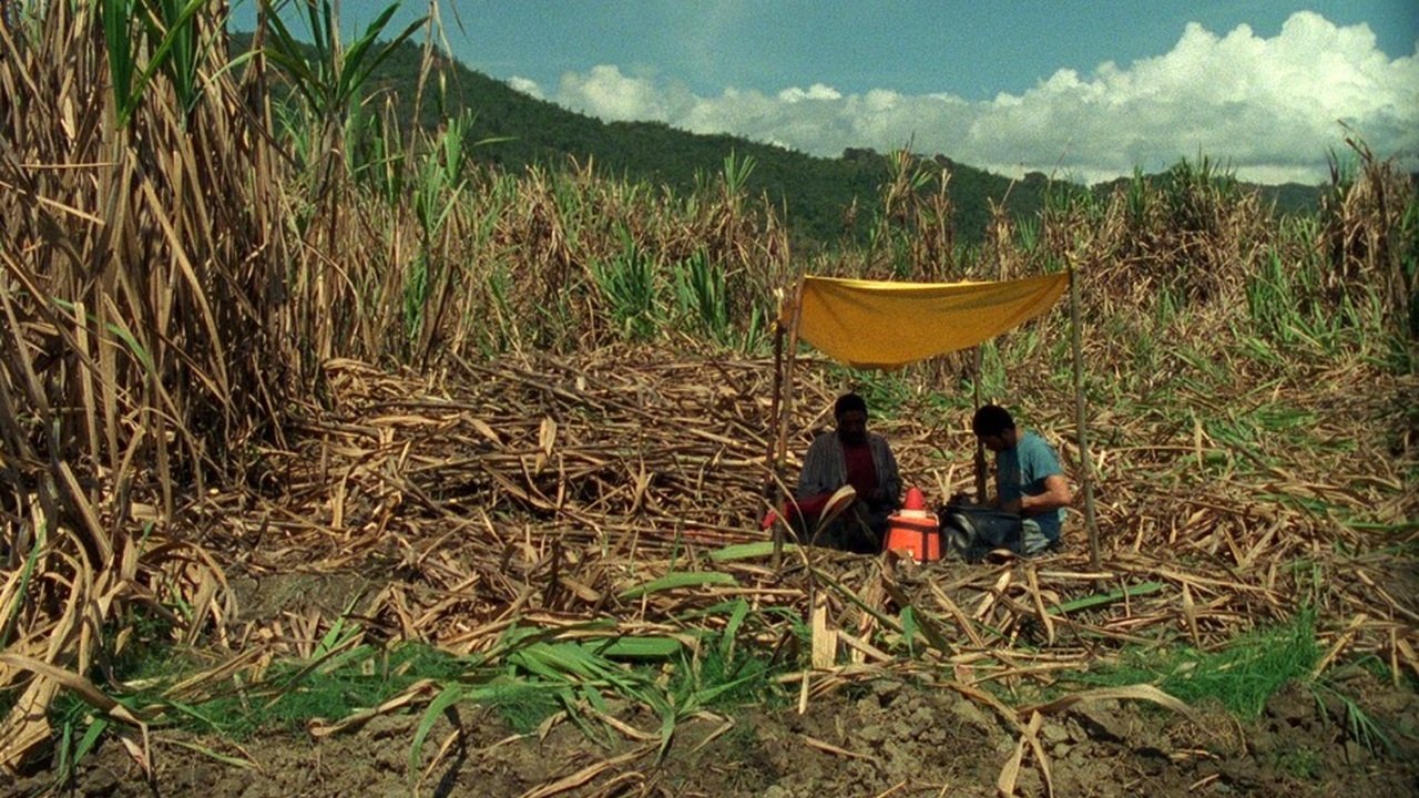 Imagem do Filme Corta