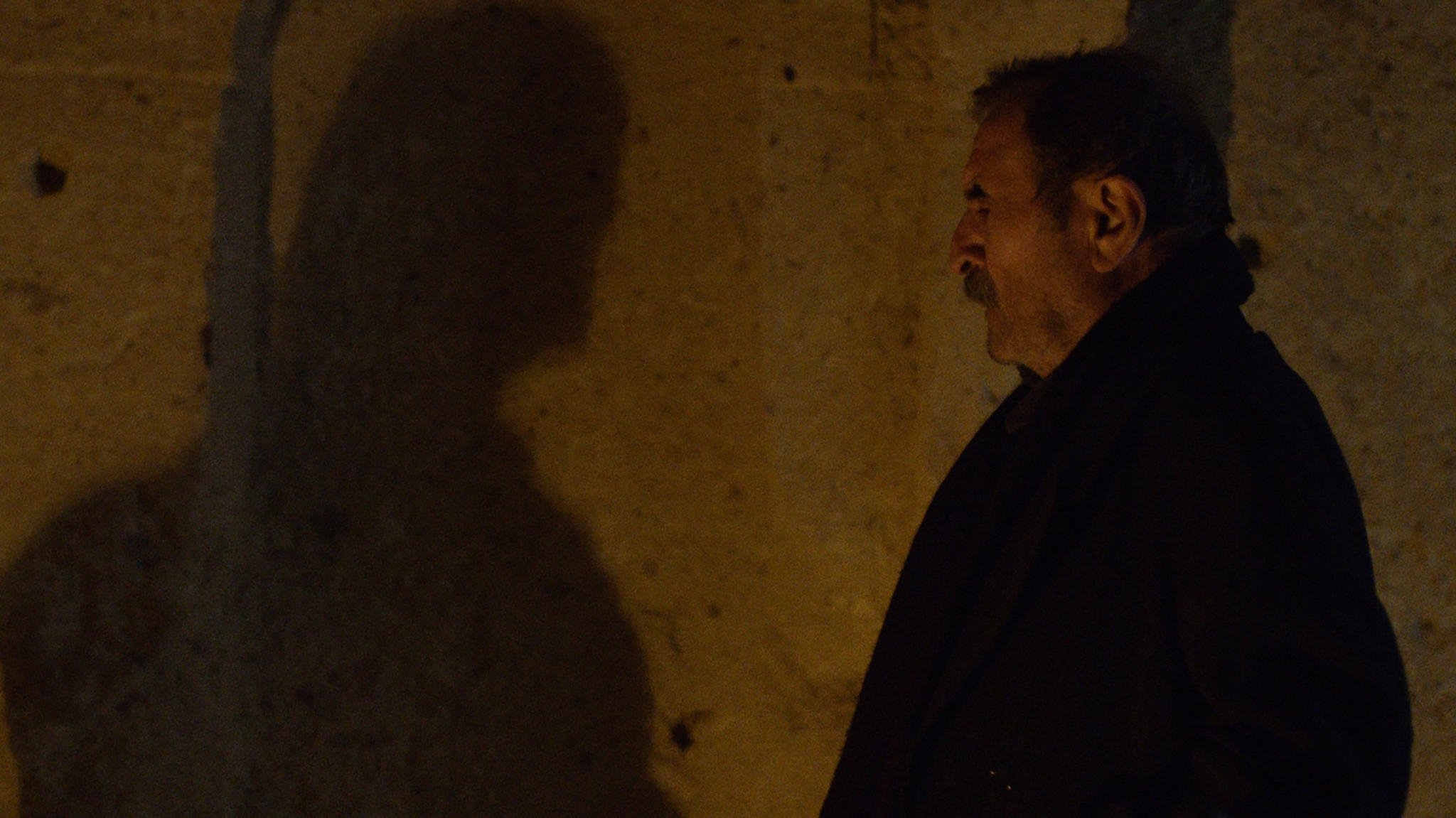 Shadow of Violence (2020)