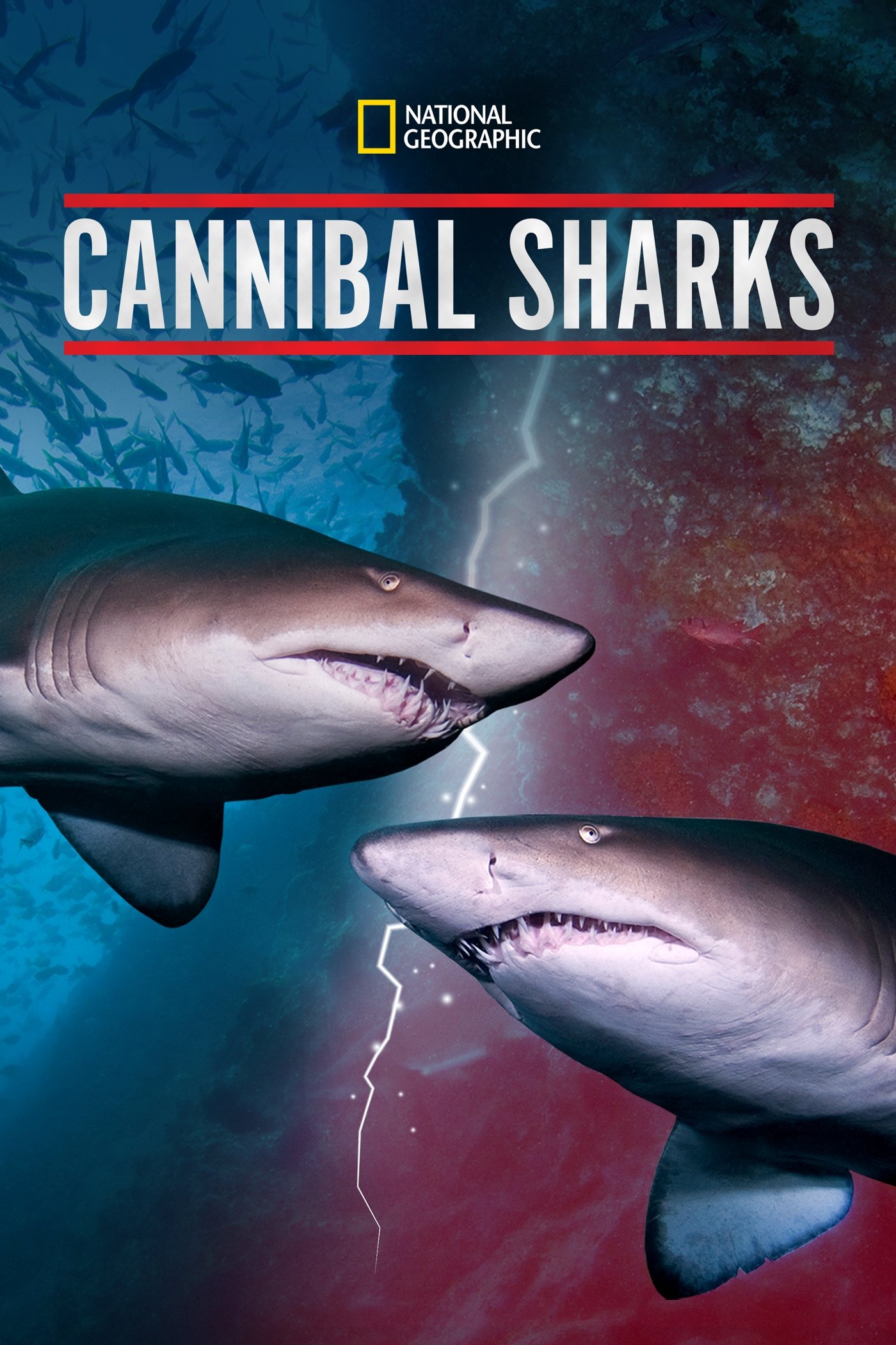 Cannibal Sharks