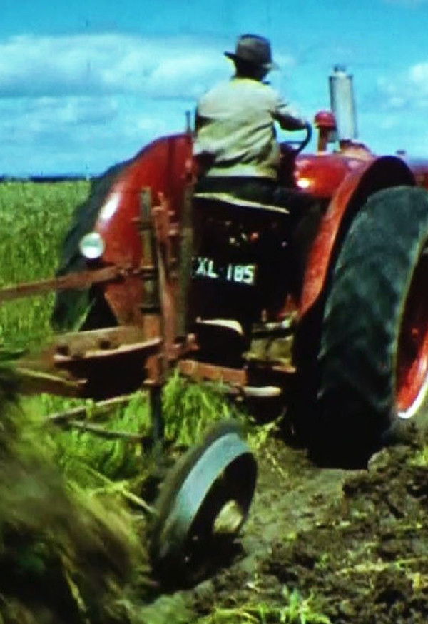 The Farmer's Cinematheque