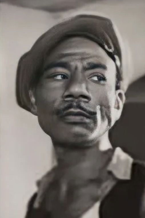 et billede af Shaladimo