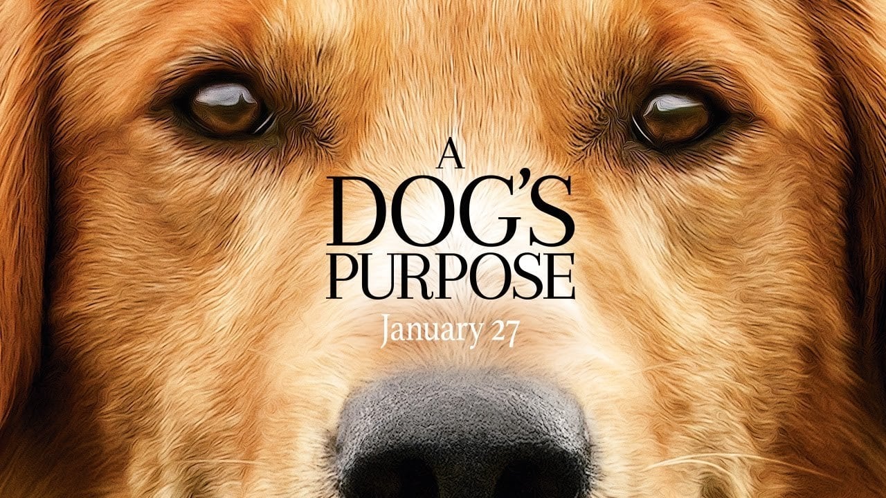 A Dog's Purpose (2017)