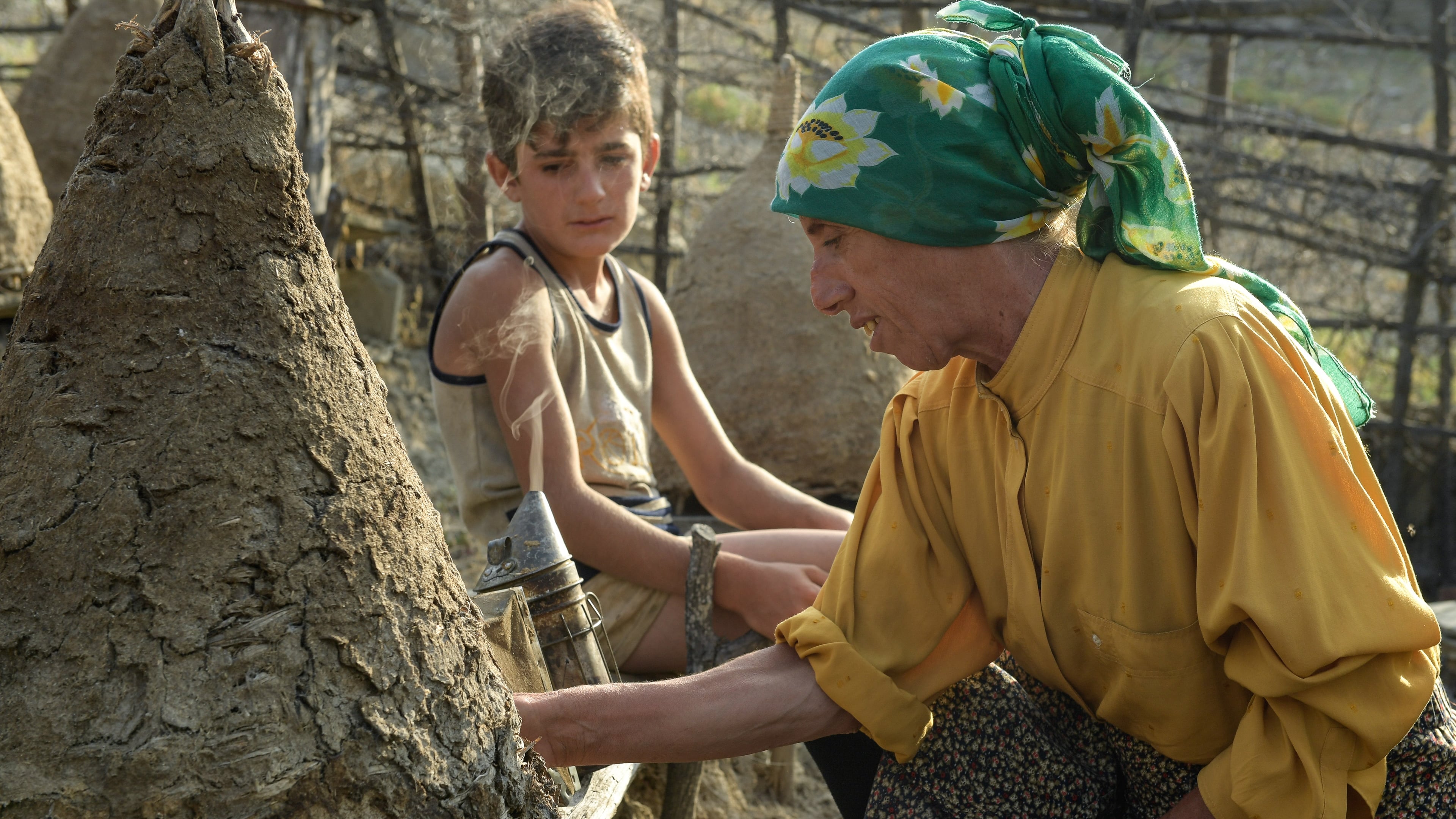 Медена земја (2019)