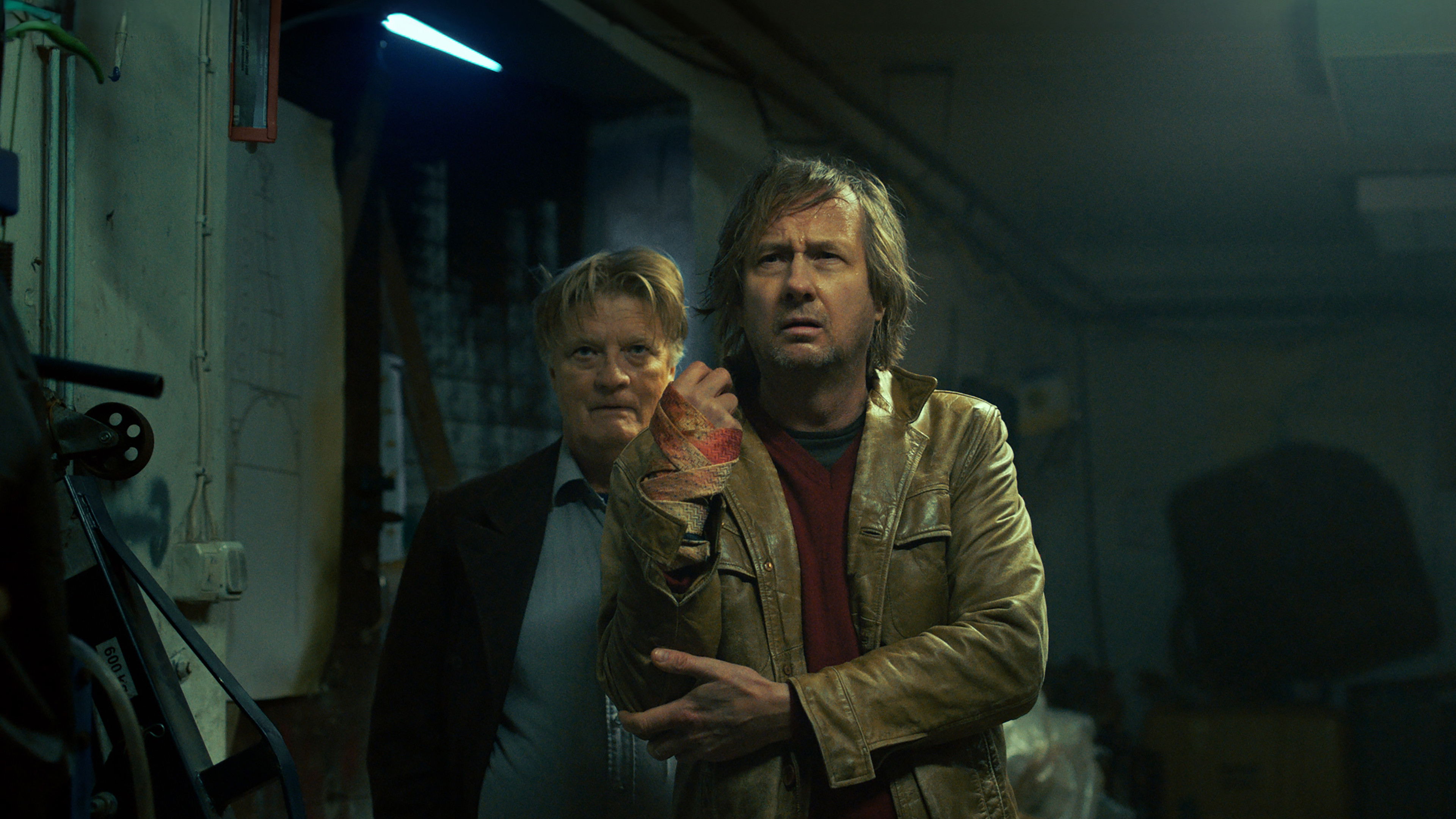 The Cat Kingdom backdrop image