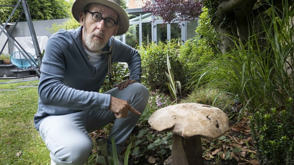 C Jamy - Champignons, mode d'emploi !
