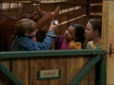 The Saddle Club