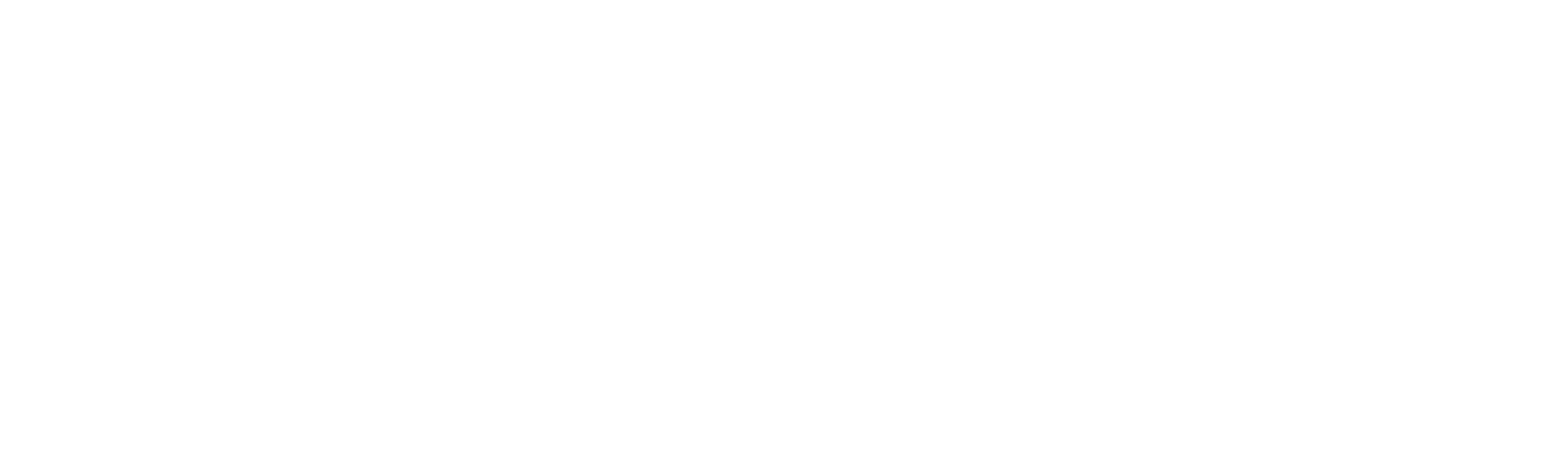 Fast and Furious
