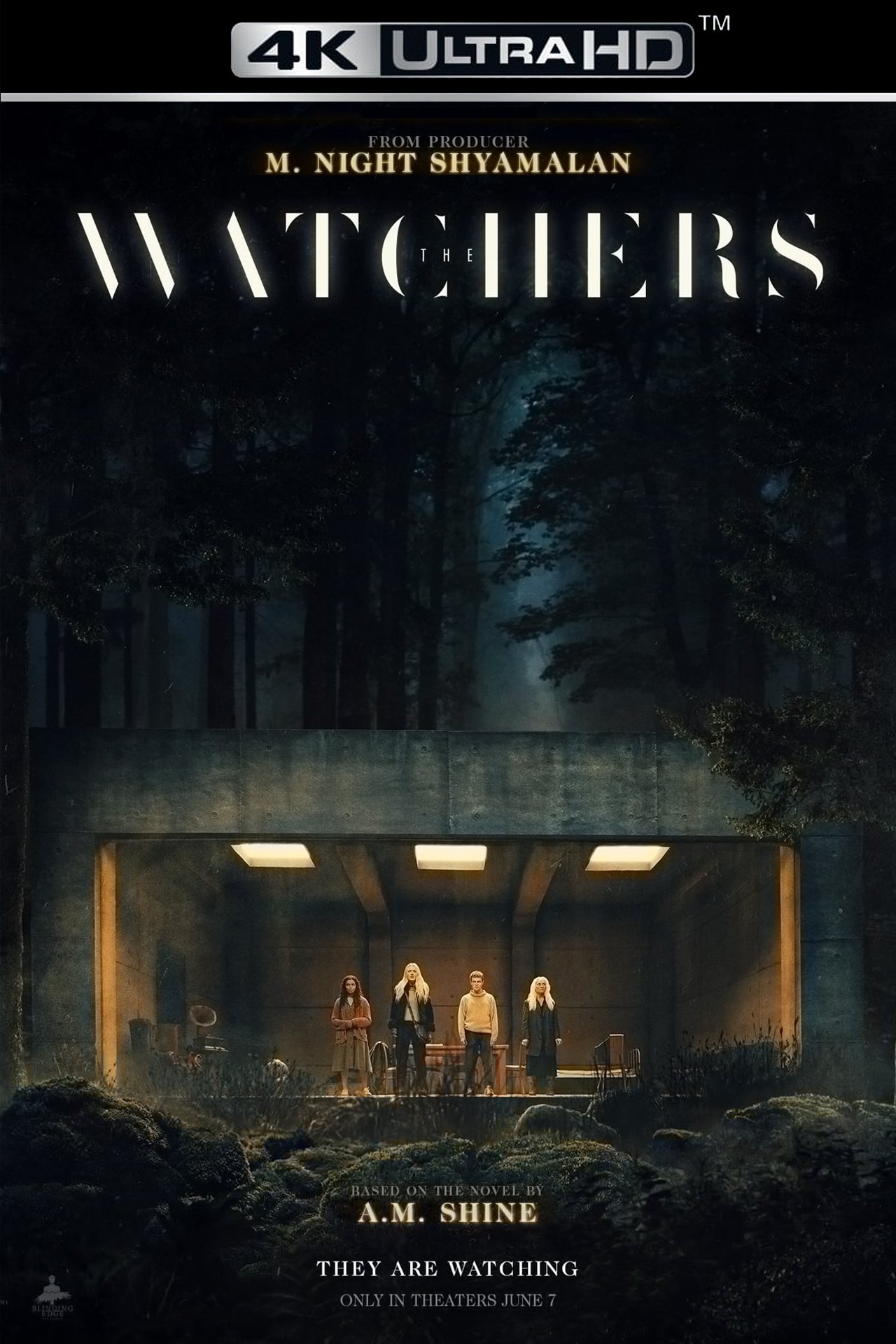 The Watchers