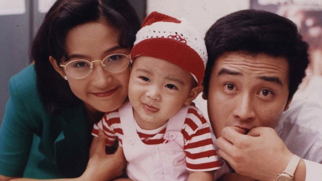 Mister Mama (1992)