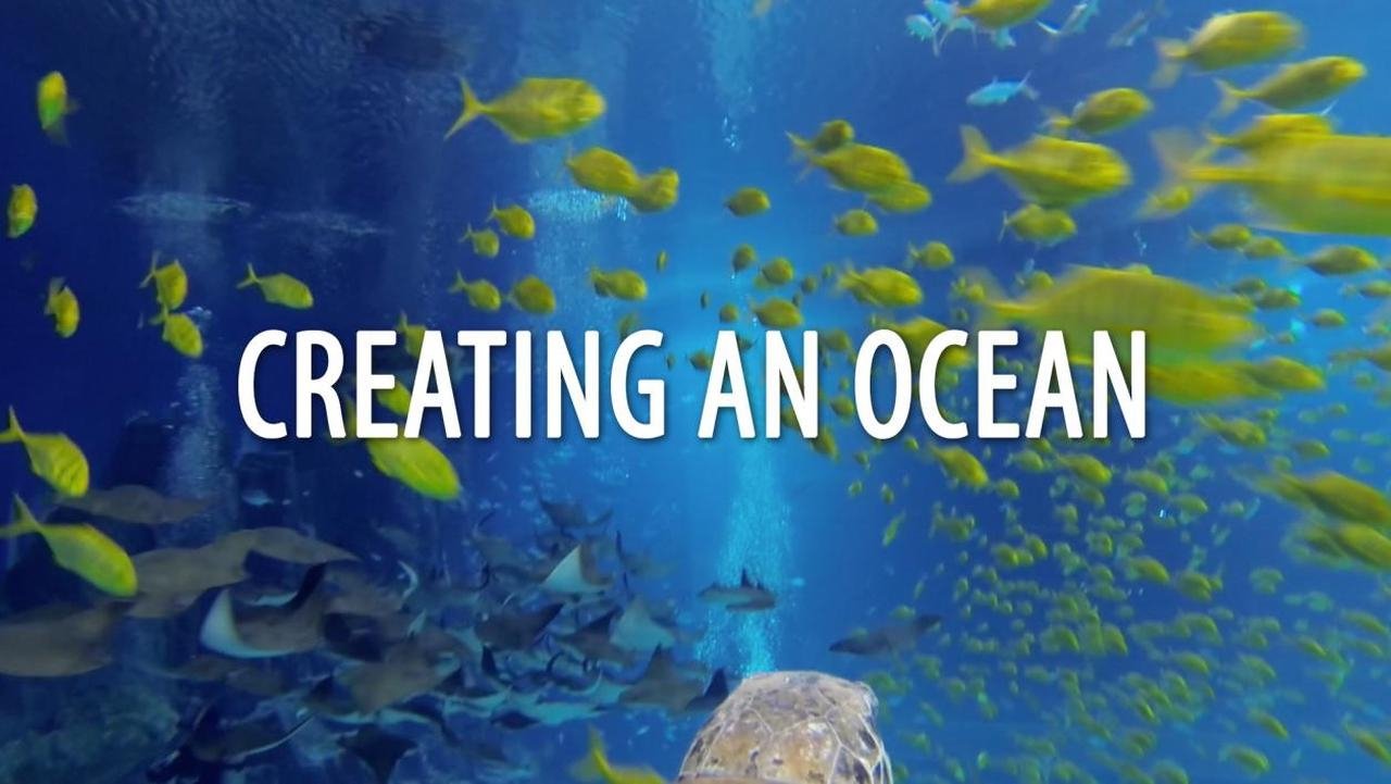 Creating An Ocean poster