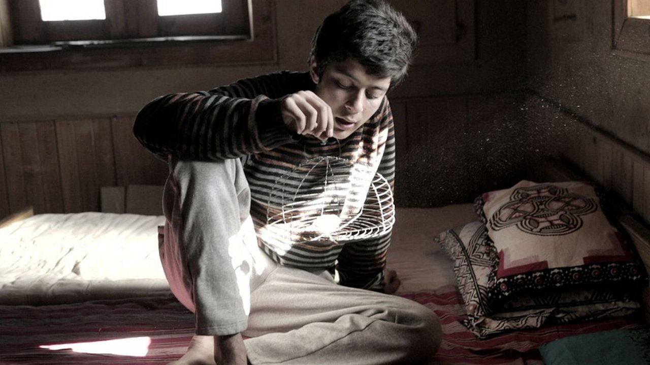 Pashi (2018)