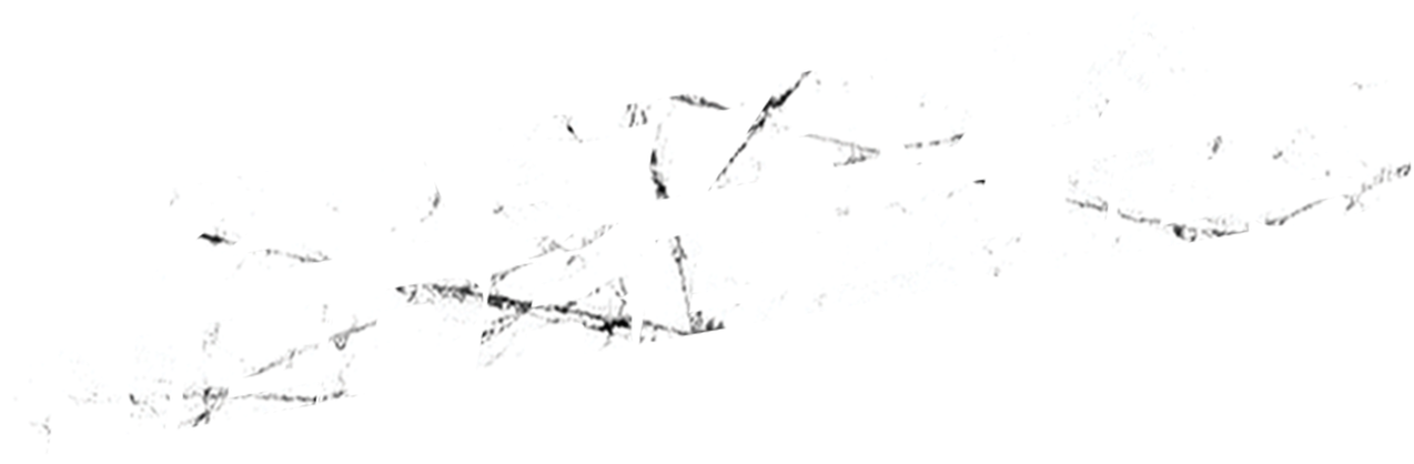 Zastav a nepřežiješ