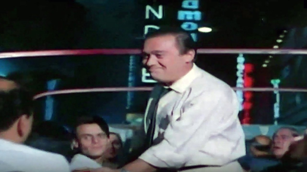Viaje de una noche de verano (1965)