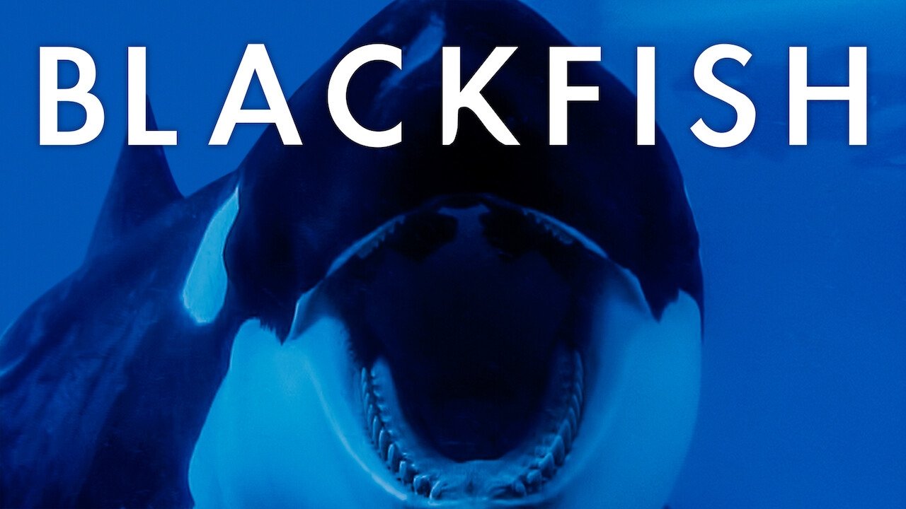 Blackfish (2013)