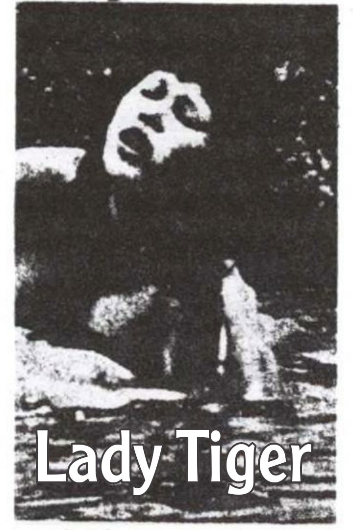 Lady Tiger
