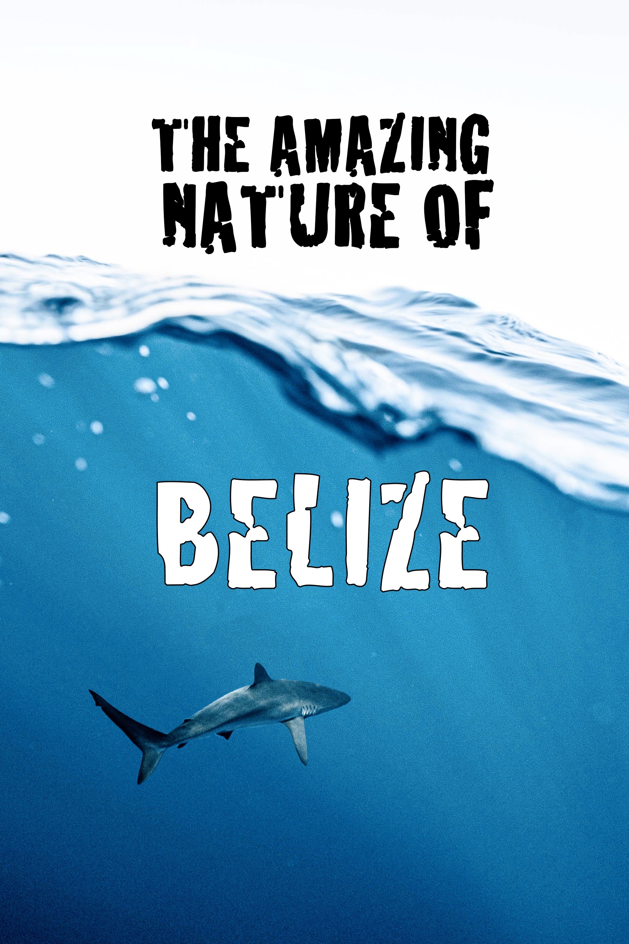 The Amazing Nature of Belize Poster