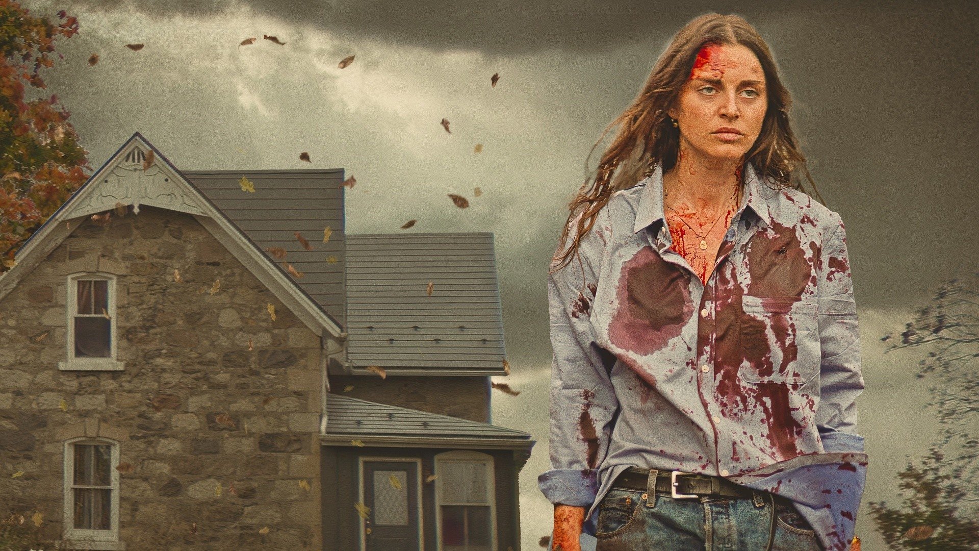 Last County (2024)