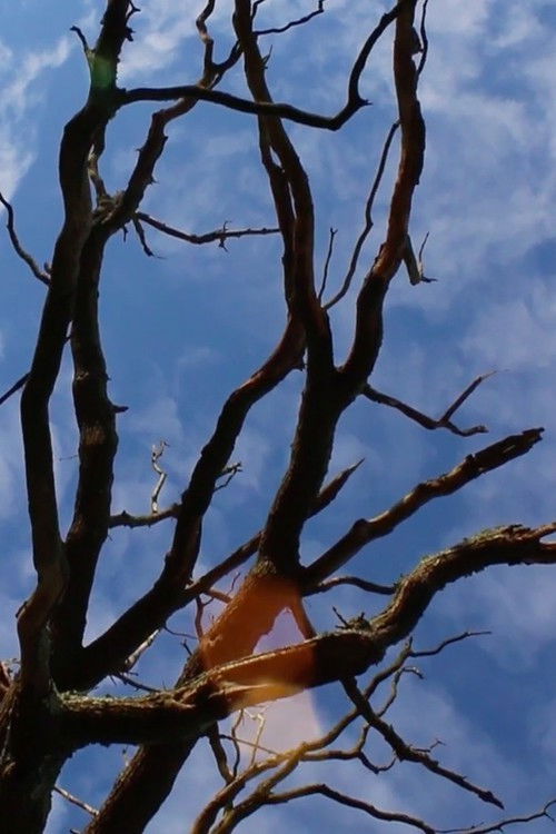 Life is a funny thing