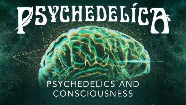 Thumbnail for Psychedelics and Consciousness Season 1 Episode 1