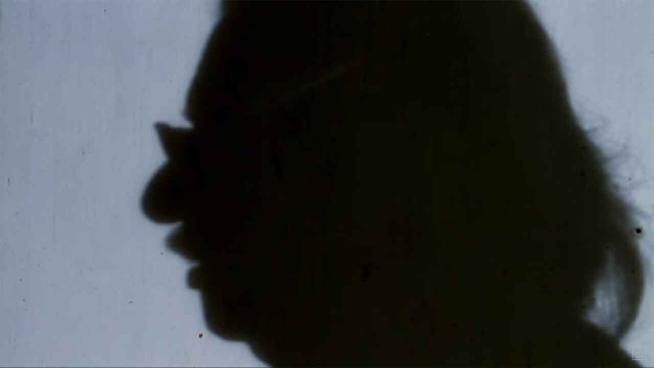 Adoor: A Journey in Frames (2015)