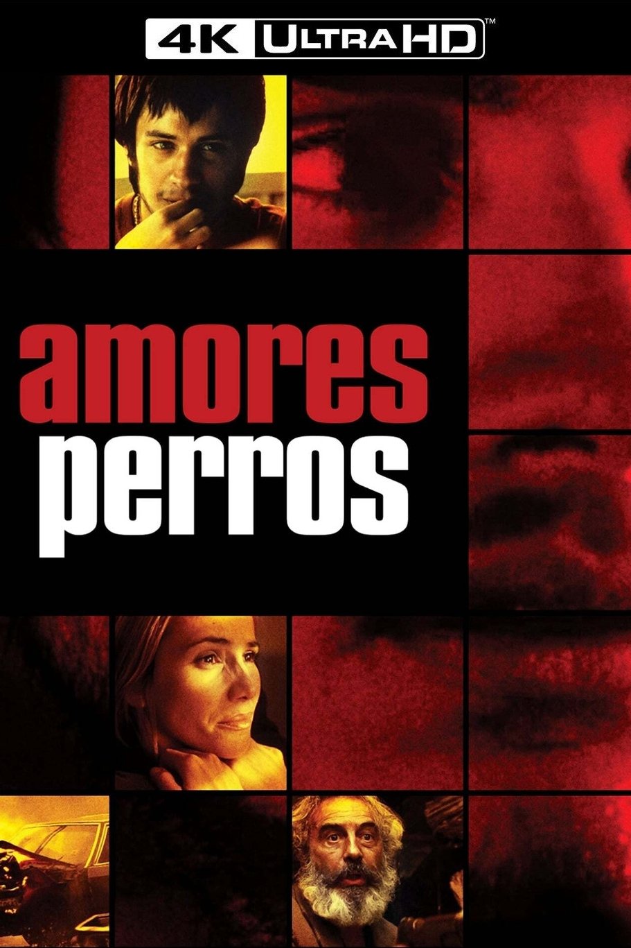 Amores Perros