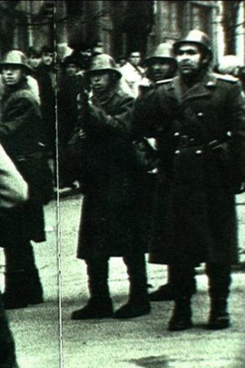 Poster for Diary of a Provincial Puppeteer