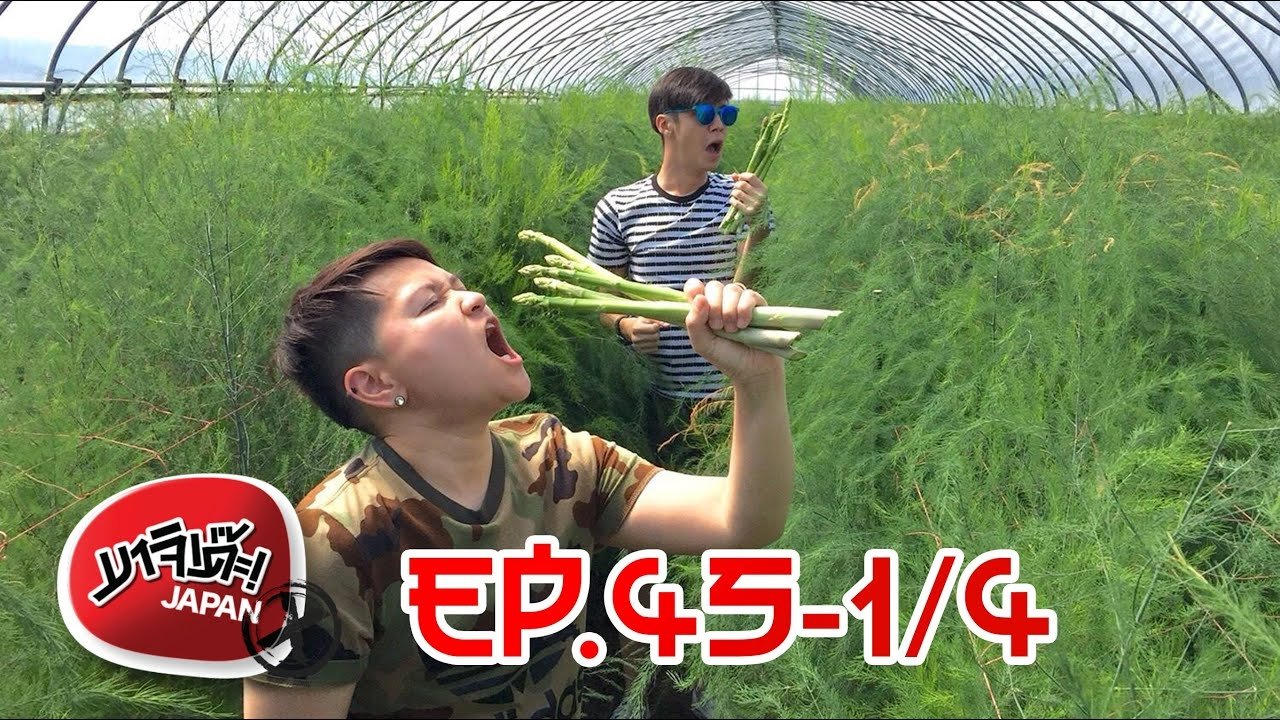 Episode 31