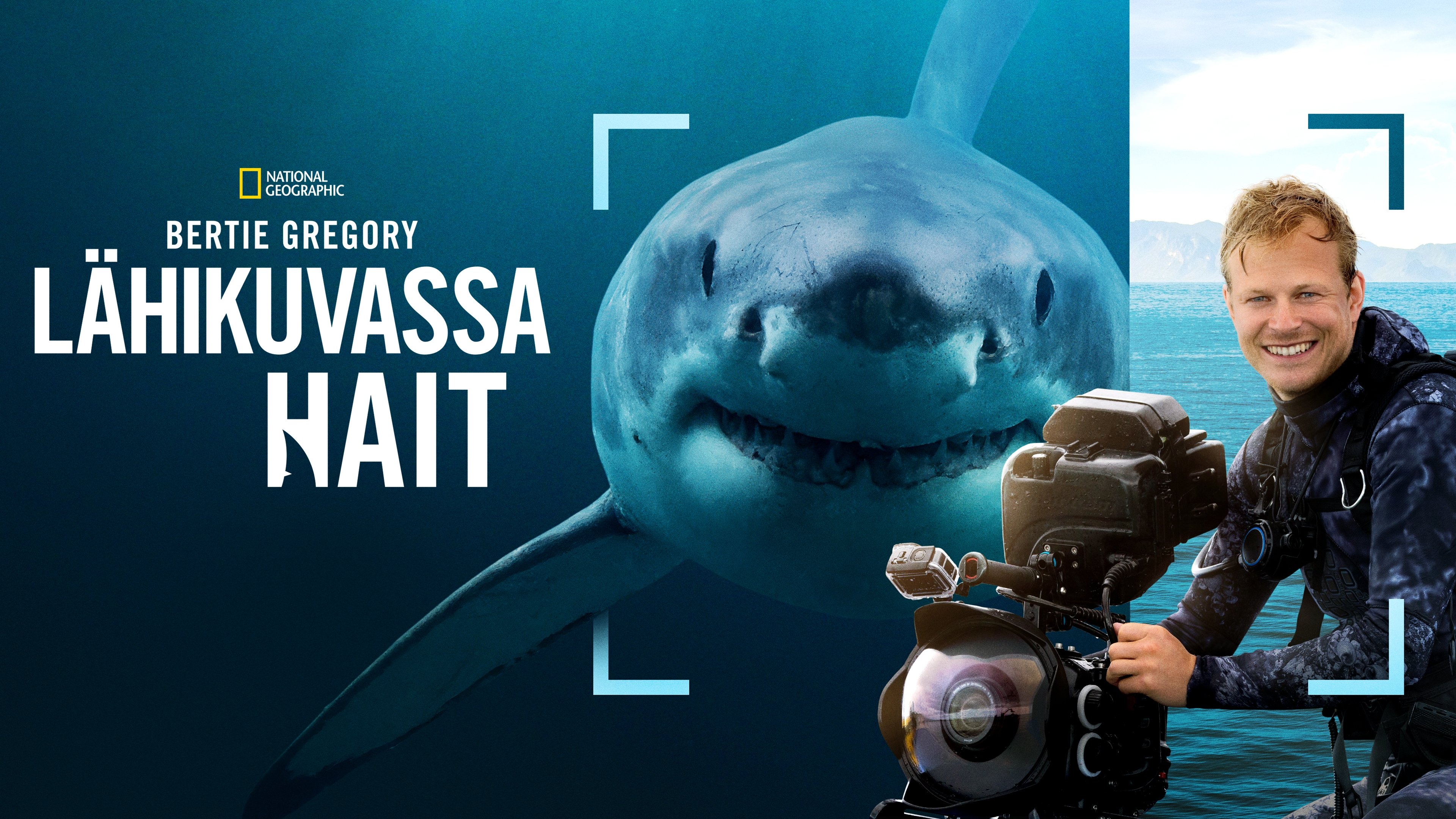 Sharks Up Close with Bertie Gregory backdrop