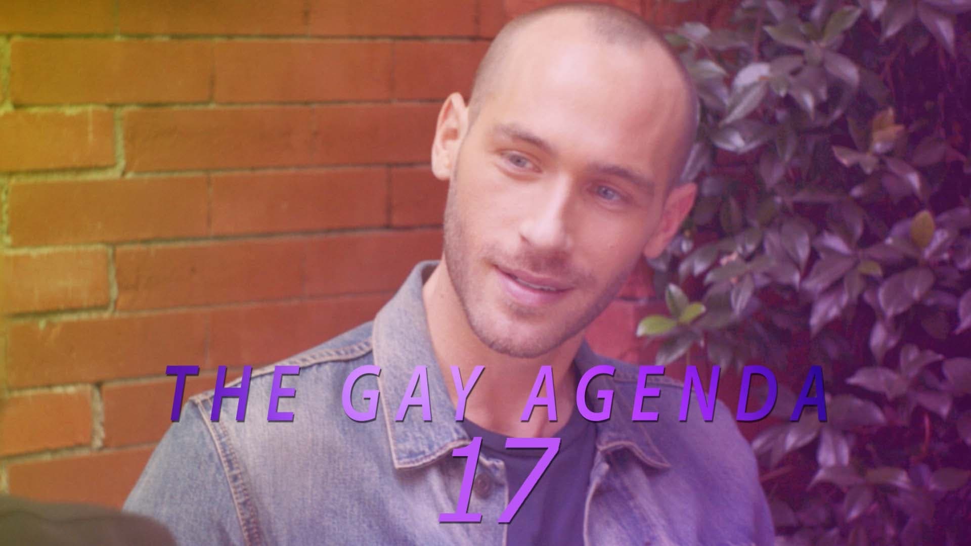 The Gay Agenda 17 ()