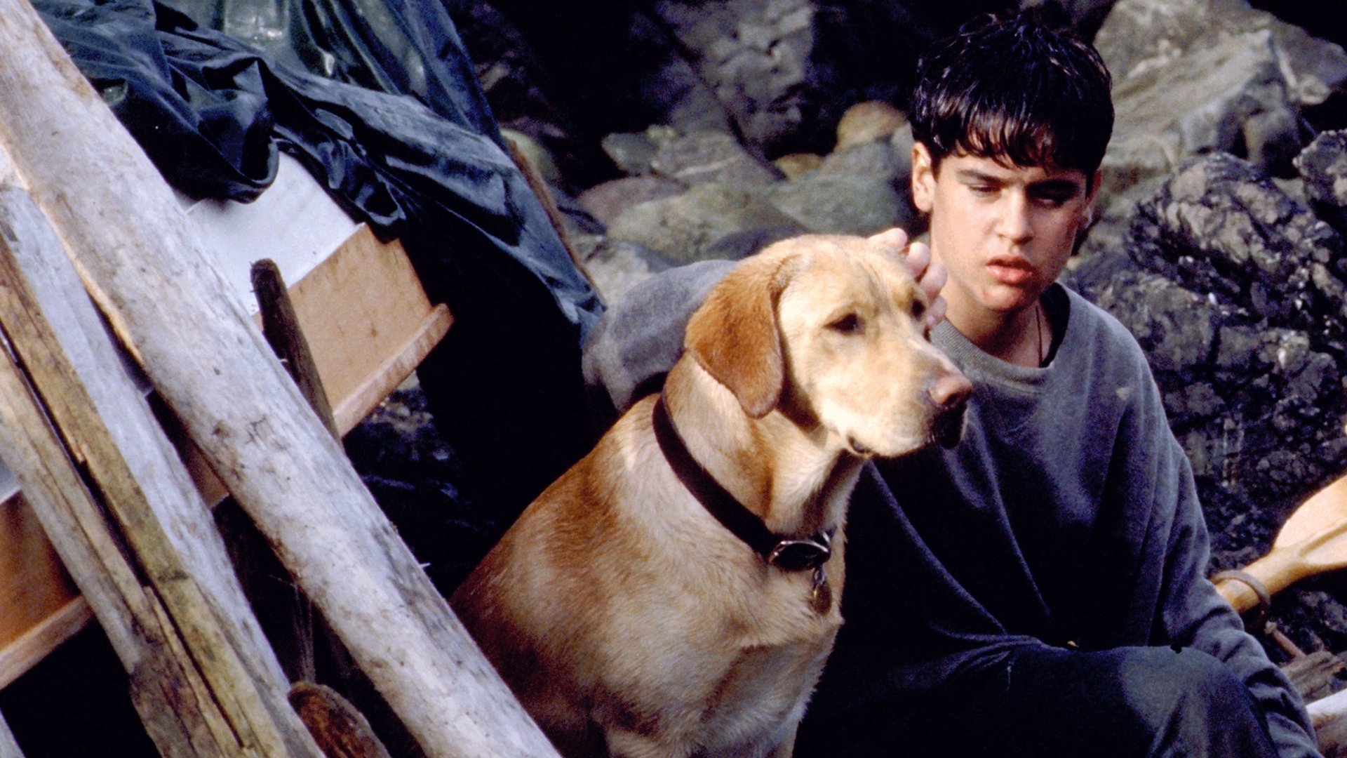Far from Home: The Adventures of Yellow Dog (1995)