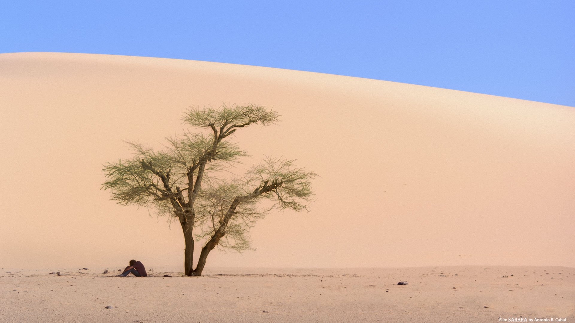 End of Trip, Sahara