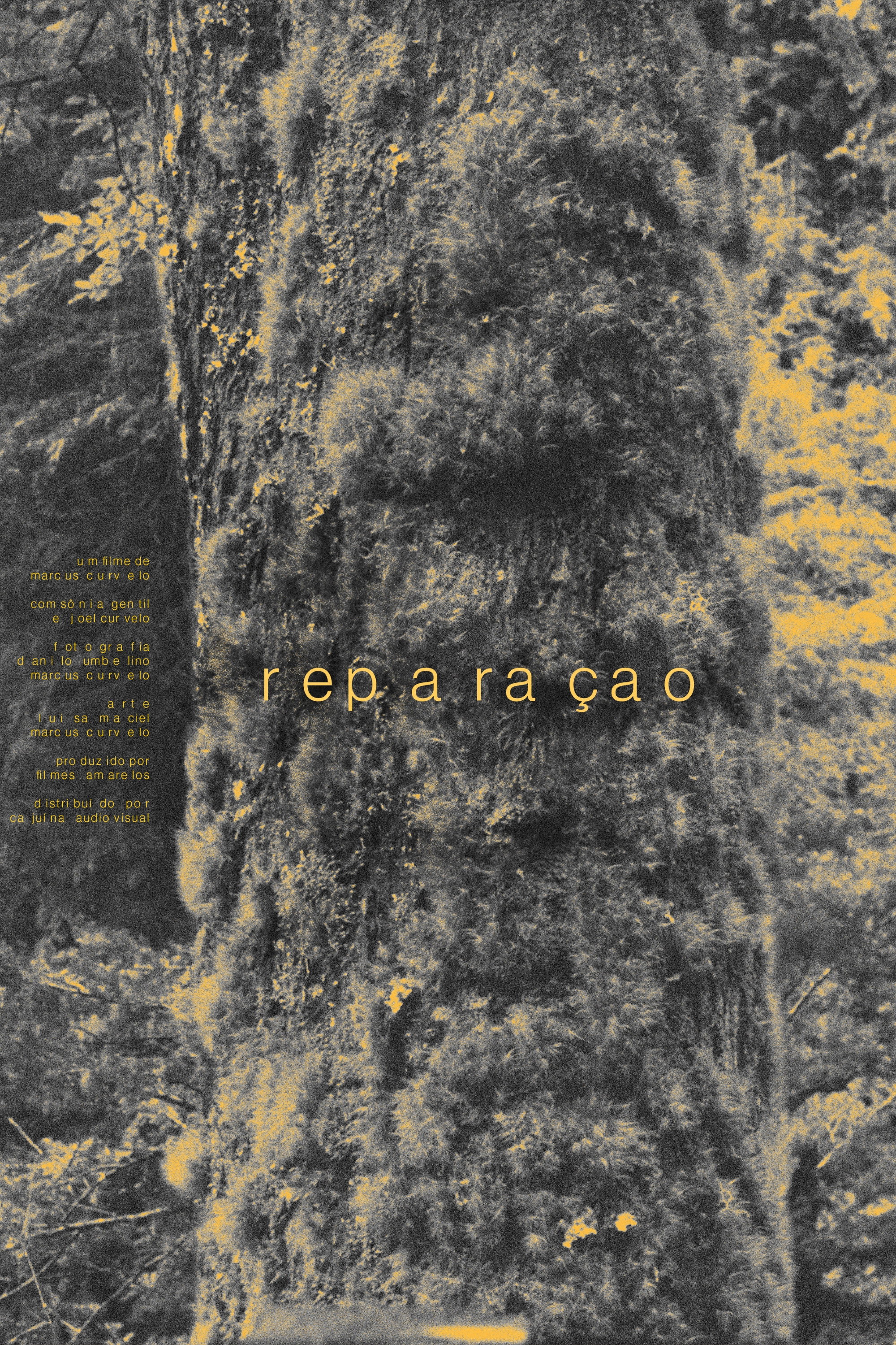 Reparação