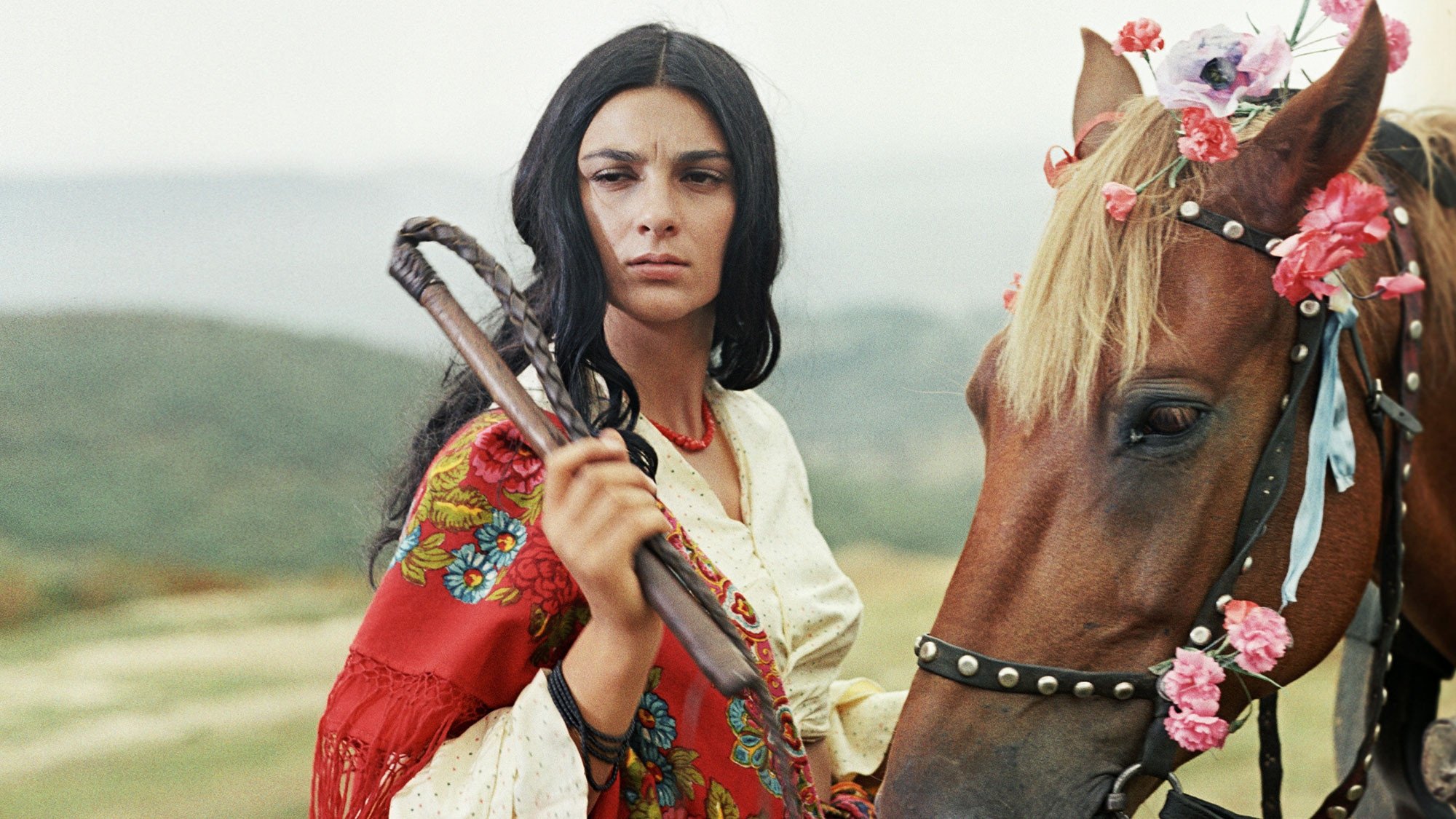 A cigánytábor az égbe megy (1976)