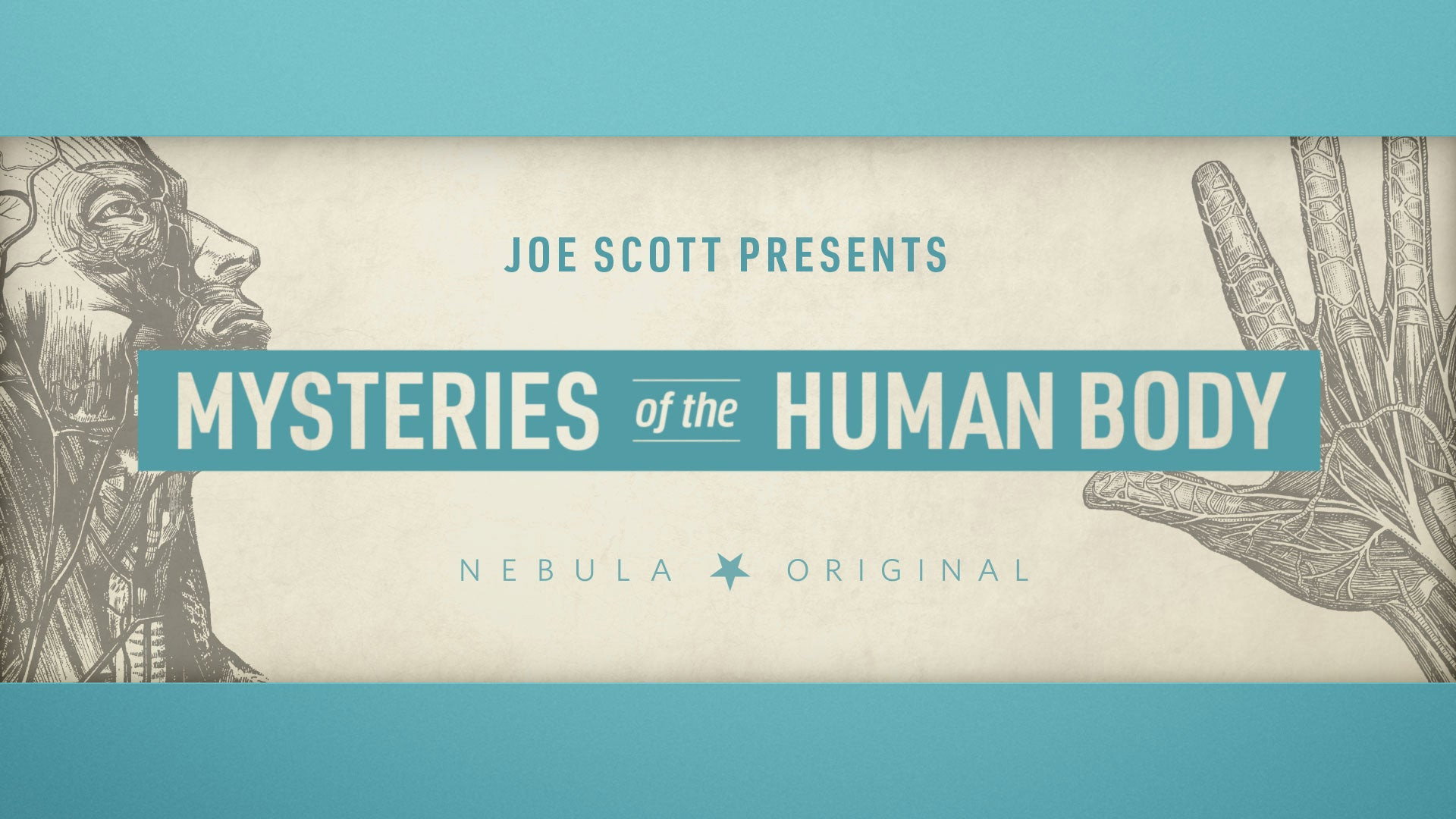 Mysteries of the Human Body