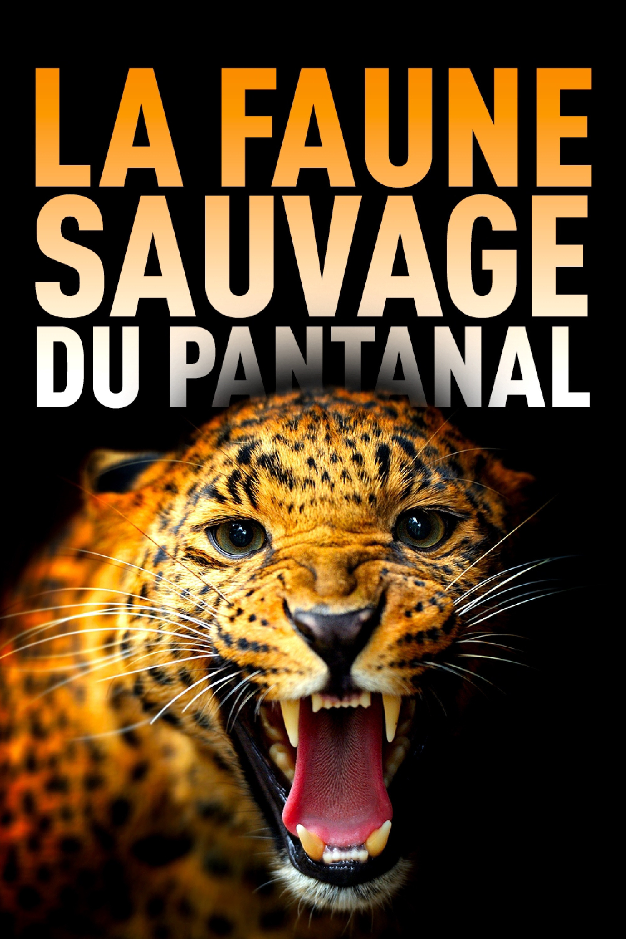 Among Big Cats and Anteaters - With Lydia M&ouml;cklinghoff in Brazil's wildlife