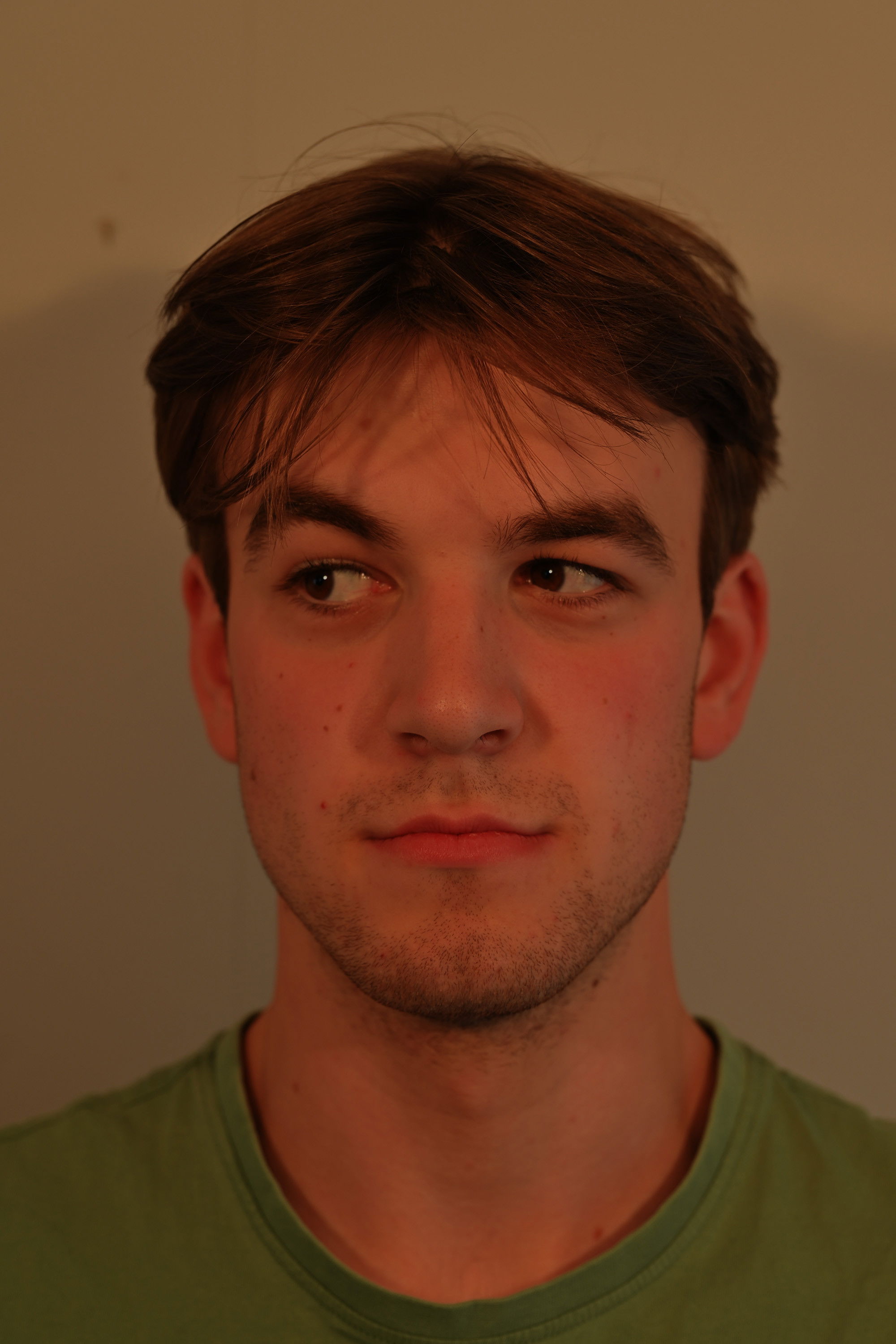 et billede af Gregor Kelt