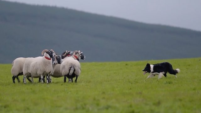 Countryfile 37x40