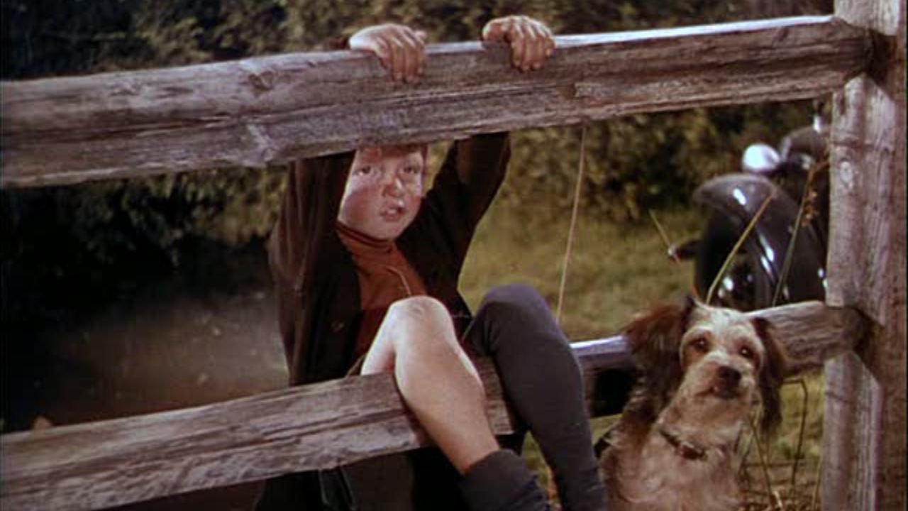 National Velvet (1945)