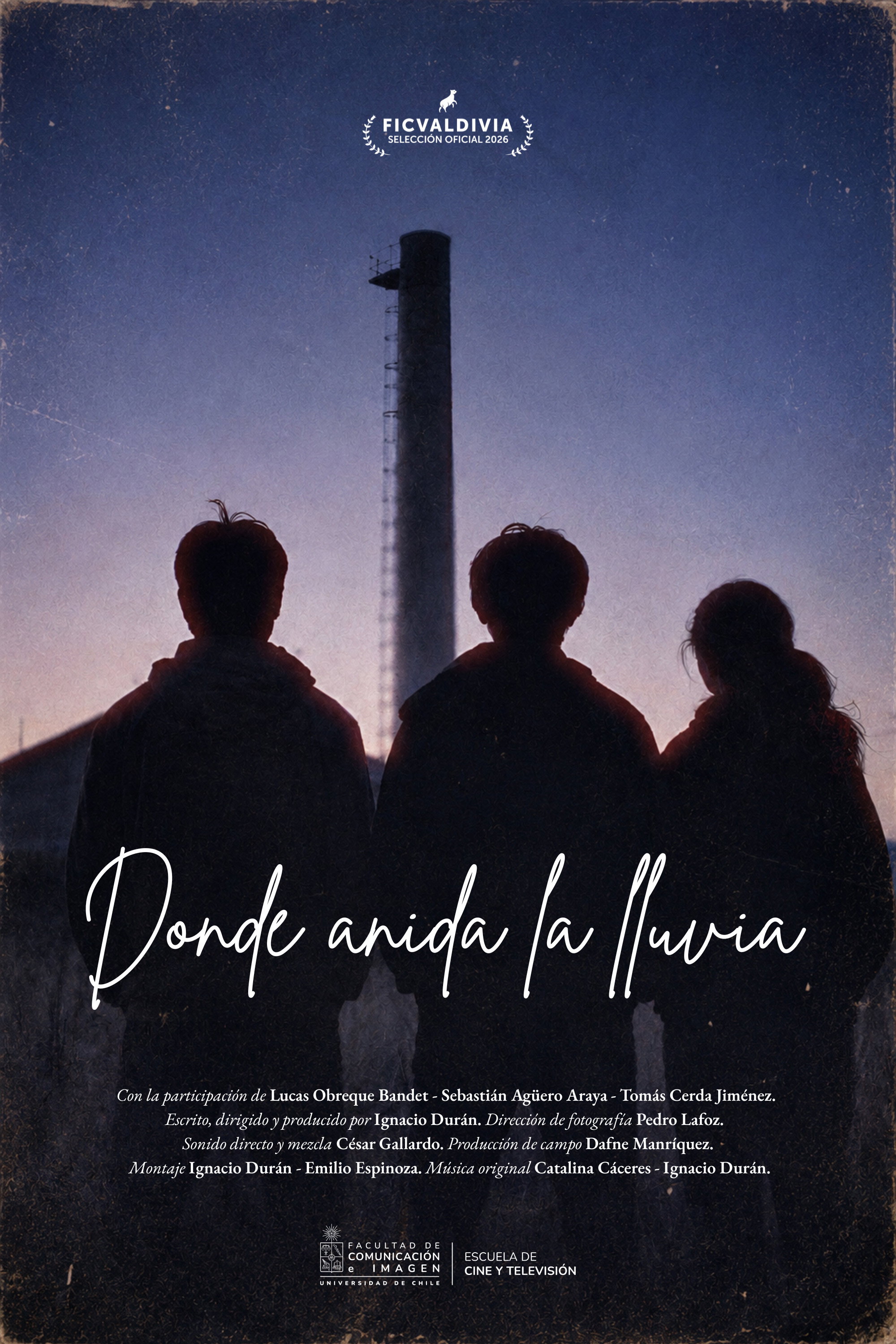 poster movie Where the Rain Nests