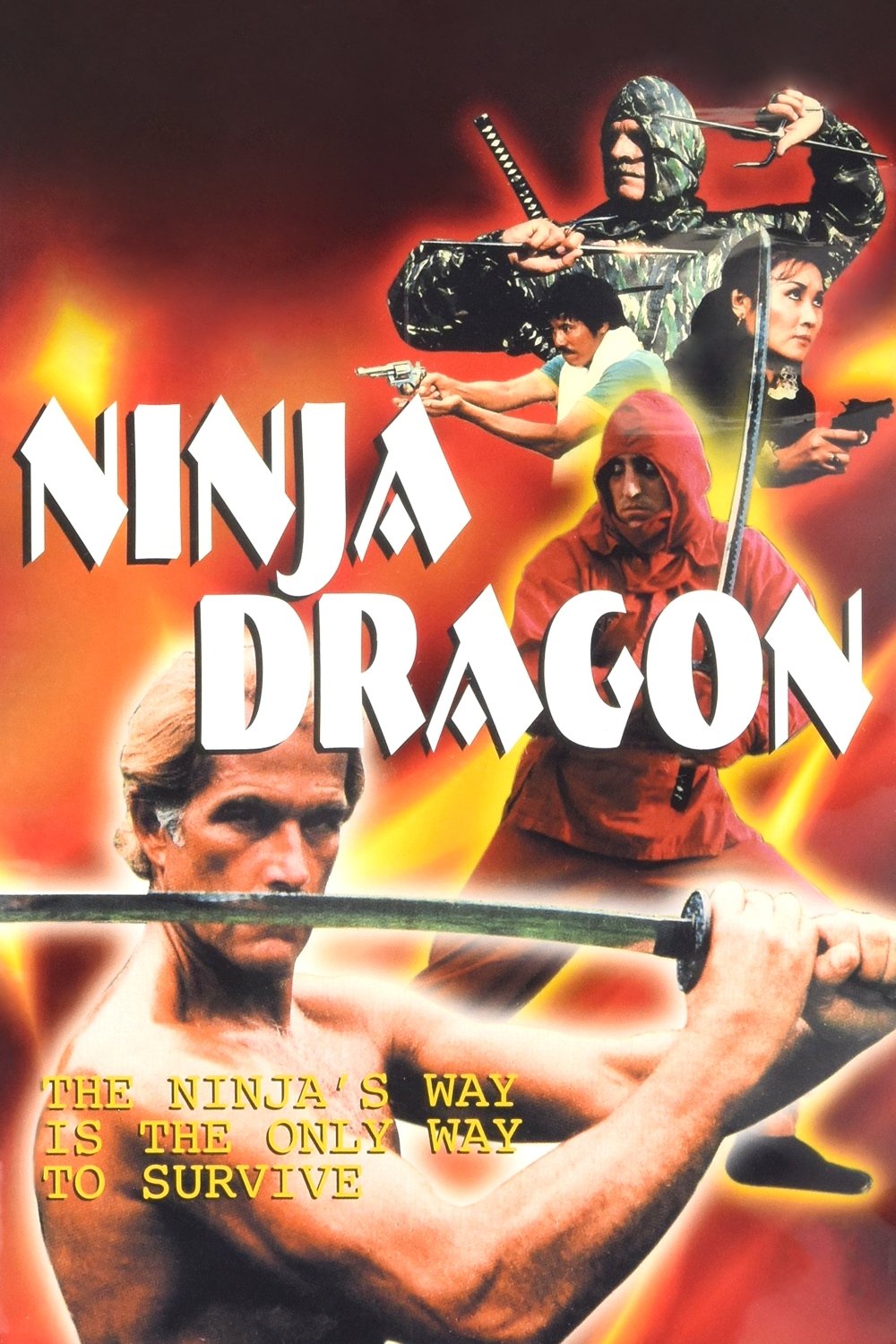 Ninja Dragon