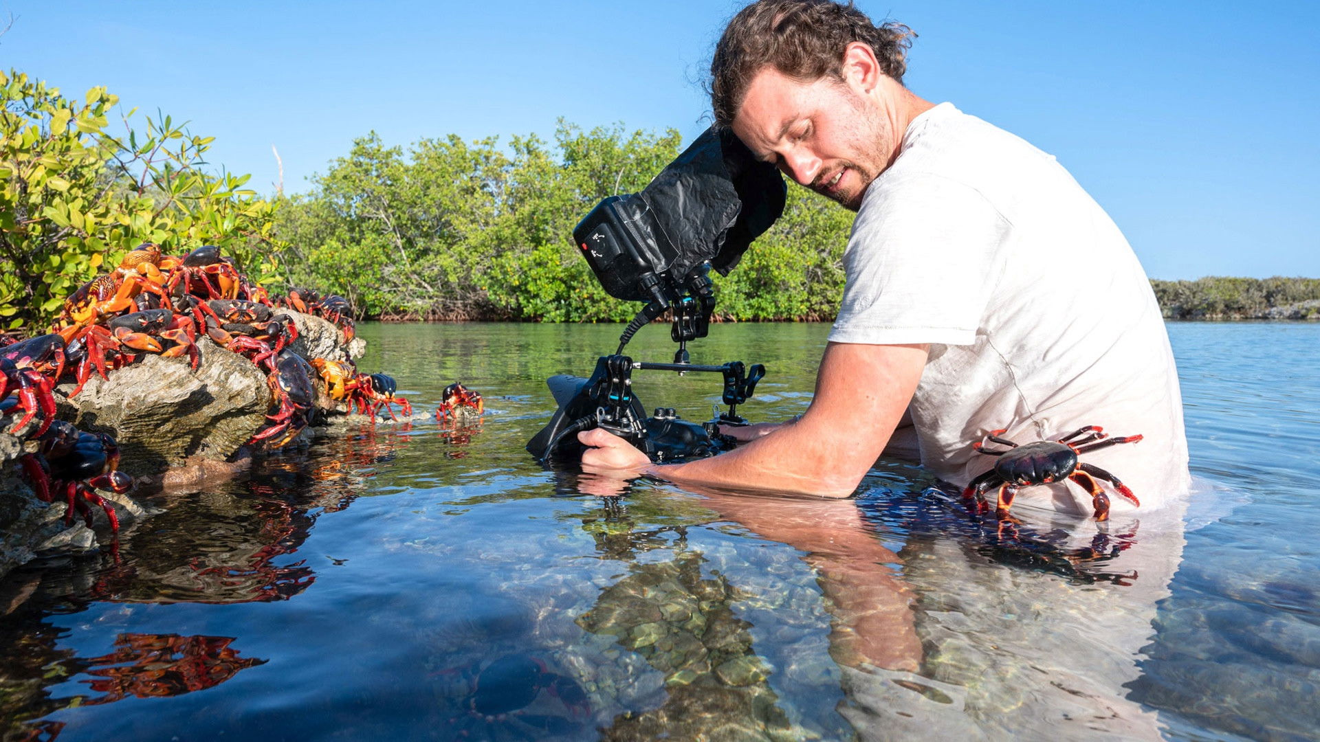 The Making of The Americas