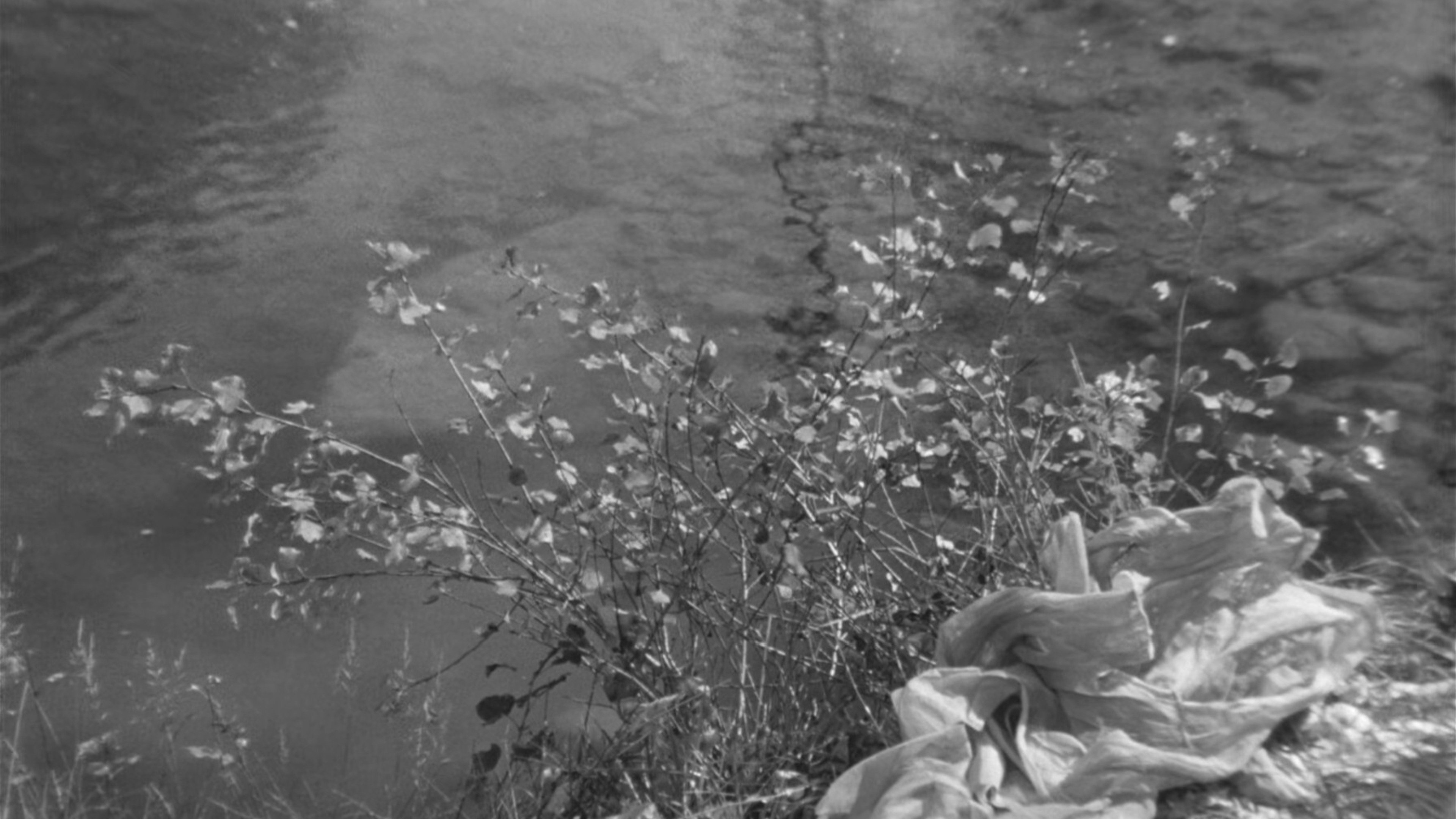 Mouchette (1967)