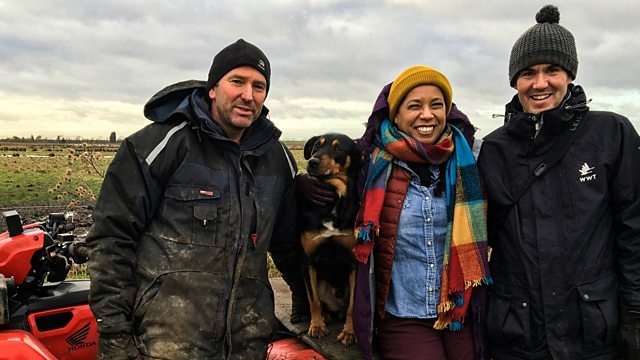 Countryfile 33x2