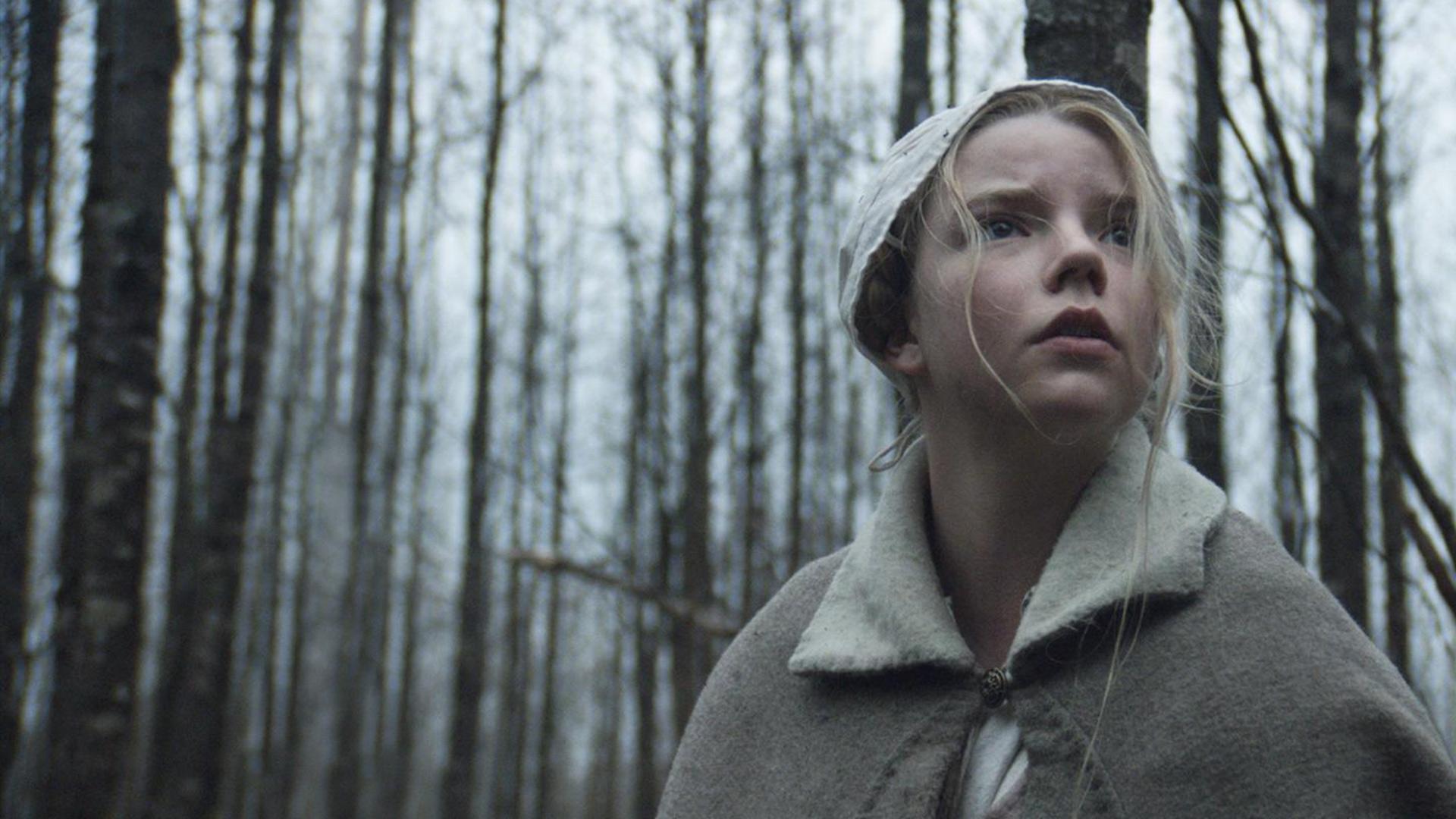 Image du film The Witch x3fruetfbqcbvx3nbvozr4szgecjpg