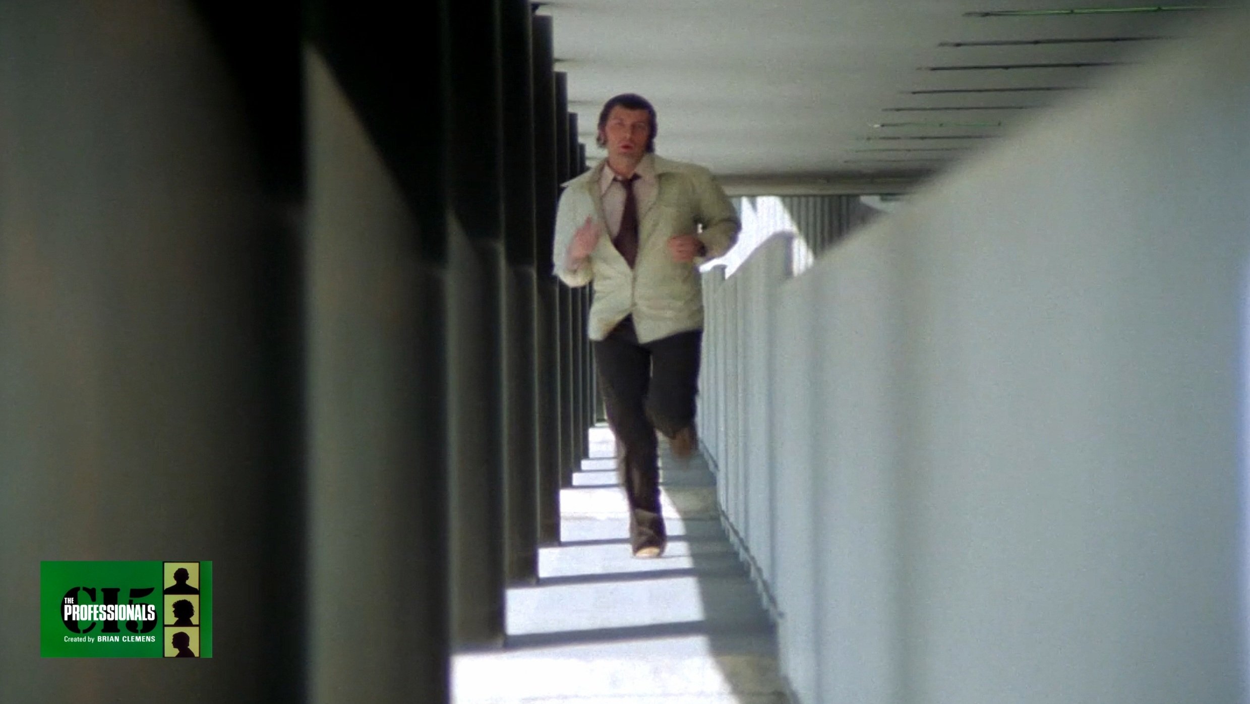 The Professionals